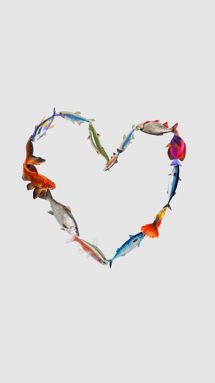 A decorative image for the blog post titled "Beloved, There is no fishπ without water π just as there is no us without our πππ ππ"