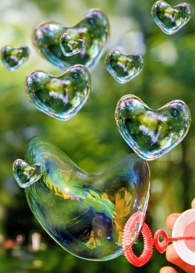 Thumbnail for the video titled "That's all. His love is💕!!! Bubbling🫧🤍...That's all we can't see!!! ♥‿♥"